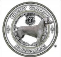 Grey Ghost - Private Investigator Doral Logo