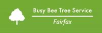 Busy Bee Tree Service Fairfax Logo