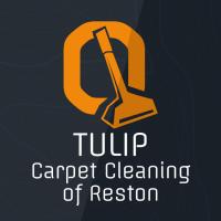 Tulip Carpet Cleaning of Reston Logo