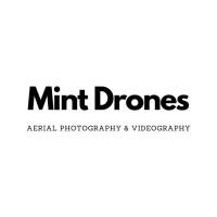 Mint Drones Logo