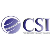 Control Systems Inc Logo