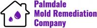 Palmdale Mold Remediation Company logo