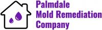 Palmdale Mold Remediation Company Logo