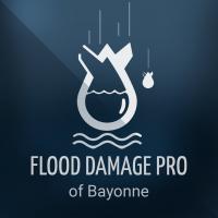 Flood Damage Pro of Bayonne Logo