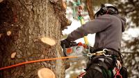 Garcia's Tree Care Logo