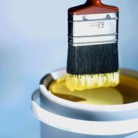 Phoenix Paint Service LLC Logo