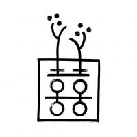 Double Happiness Health - Acupuncture San Francisco Logo