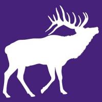 Colorado Web Impressions Logo