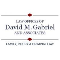 Law Offices Of David M Gabriel logo
