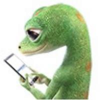 Geico Auto Insurance Logo