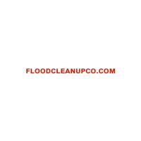 Queens Water damage Logo