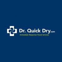 Dr. Quick Dry Logo