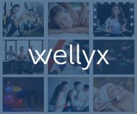 Wellyx Software Logo