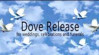 Laramie Lofts Dove Releases Logo