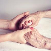 The Ellison House Logo