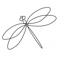 Dragonfly Investment & Development Logo