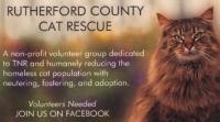 Rutherford County Cat Rescue logo