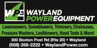 Wayland Power Equipment Logo