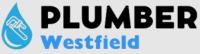 Plumber Westfield IN logo