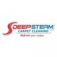 Deep Steam Carpet Cleaning Logo