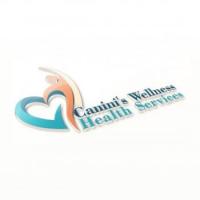 Canini's Concierge Health and Wellness: Sheila V Canini, MSN, FNP-BC Logo