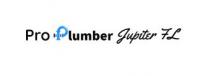 Pro Plumber Jupiter FL logo