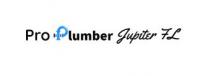Pro Plumber Jupiter FL Logo