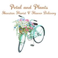 Petal And Plants - Houston Florist & Flower Delivery logo