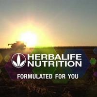 Health Wave Nutrition Logo