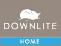 DOWNLITE Logo