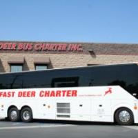 Fast Deer Bus Charter Logo