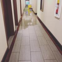 Heavenly Carpet Care and Restoration Logo