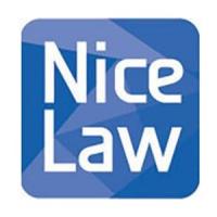 The Nice Law Firm, LLP Logo