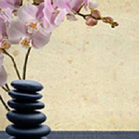 Healing Point Massage Logo