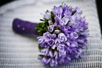 Blanco Floral & Gift Shop Llc Logo