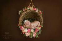 Newborn Photography In Washington DC Logo