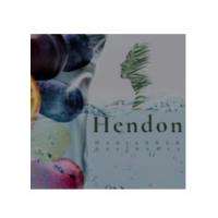 Hendon Hydration and Aesthetics Logo