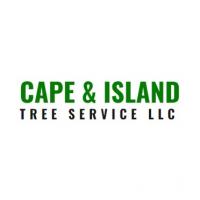 Cape & Island Tree Service Logo
