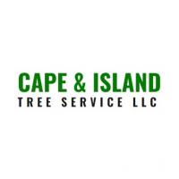 Cape & Island Tree Service Logo