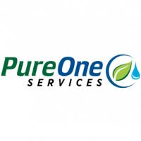 PureOne Services-CT logo