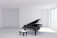 The Piano Company Logo
