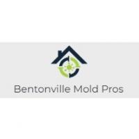 Bentonville Mold Pros Logo