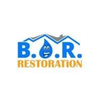 Best Option Restoration (B.O.R.) of Travis County Logo