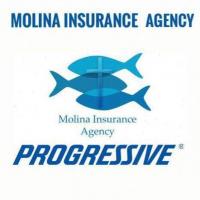 Molina Insurance Agency, LLC Logo
