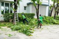 Wellington Tree Service Logo