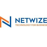 NetWize Logo