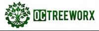 Long Beach Tree Experts logo