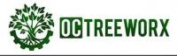 Long Beach Tree Experts Logo