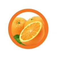 Orange Cleaning Services Logo
