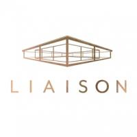 Liaison Technology Group Logo